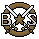 Bronze Badge